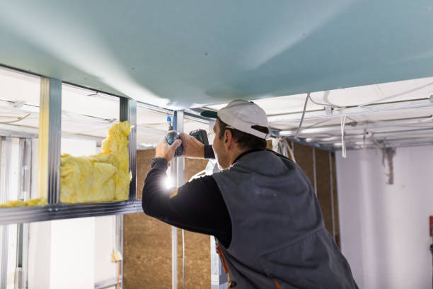 Best Insulation Installation Services in Tulia, TX